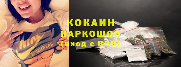 индика Алексин