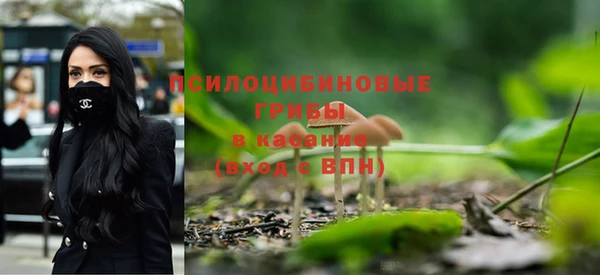 ПСИЛОЦИБИНОВЫЕ ГРИБЫ Алзамай