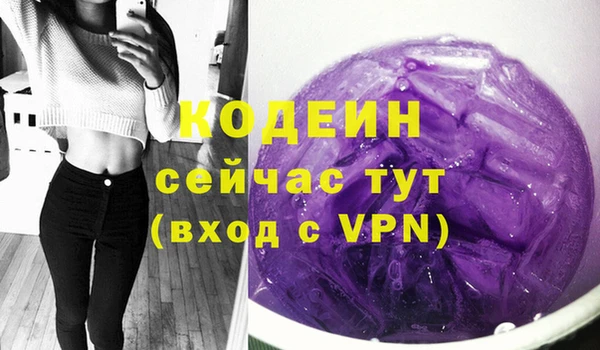 индика Алексин