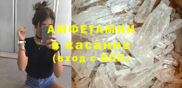 индика Алексин