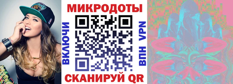 Галлюциногенные грибы Psilocybine cubensis Мураши