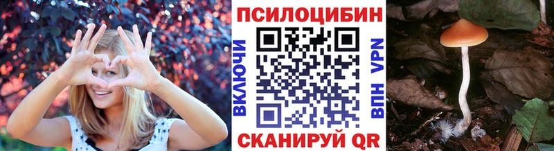 hydra сайт  Мураши  Галлюциногенные грибы Psilocybine cubensis 